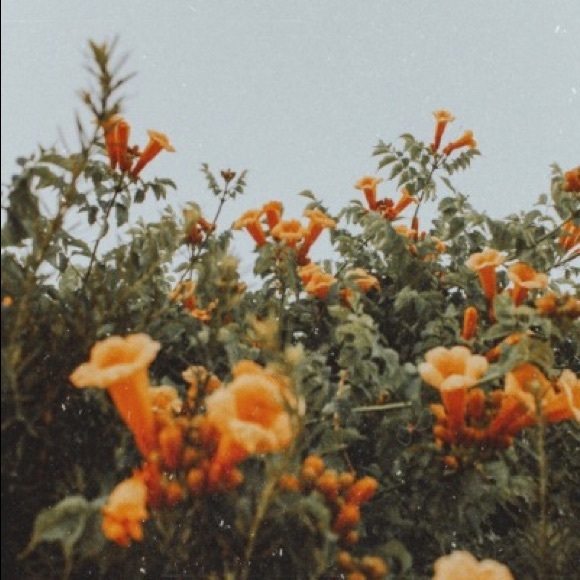 Meet your Posher, Aubrie - Picture 1 of 1